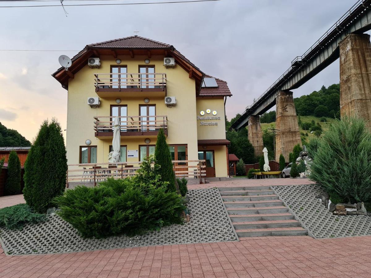 Pensiunea Narcisa Romuli 외부 사진