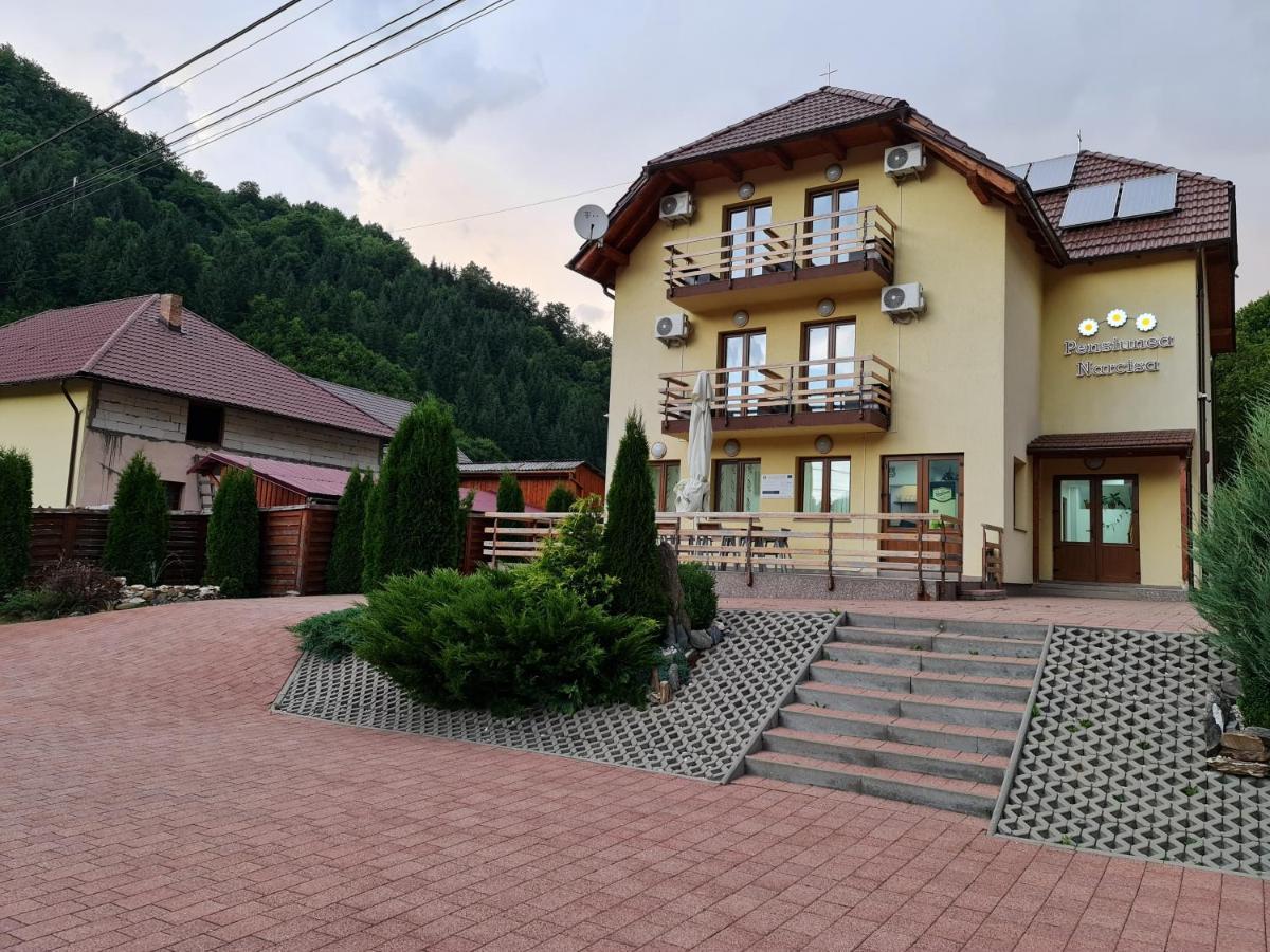 Pensiunea Narcisa Romuli 외부 사진